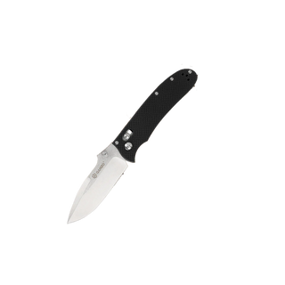 Folding knife Ganzo D704-BK