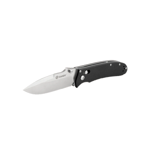 Folding knife Ganzo D704-BK
