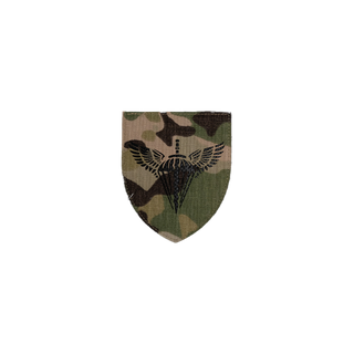 Патч Abrams Роди військ