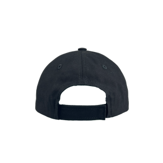 Кепка Anti PTSR Club
