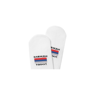 Шкарпетки R3ICH "Забарань москаля"